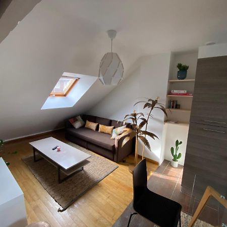 Appartement Hyper Centre Cathedrale Avec Parking Gratuit アミアン エクステリア 写真