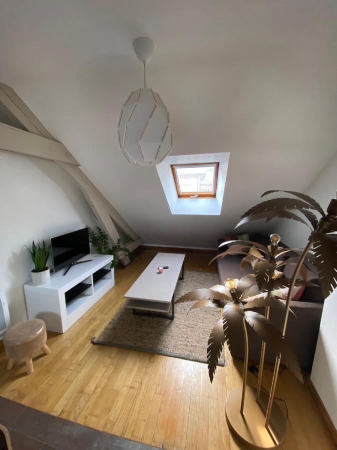 Appartement Hyper Centre Cathedrale Avec Parking Gratuit アミアン エクステリア 写真