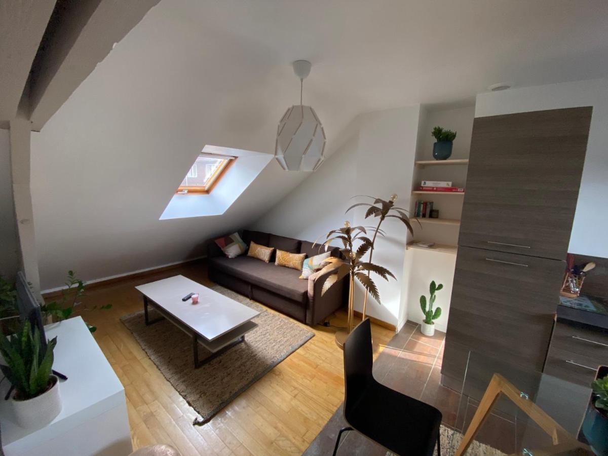 Appartement Hyper Centre Cathedrale Avec Parking Gratuit アミアン エクステリア 写真